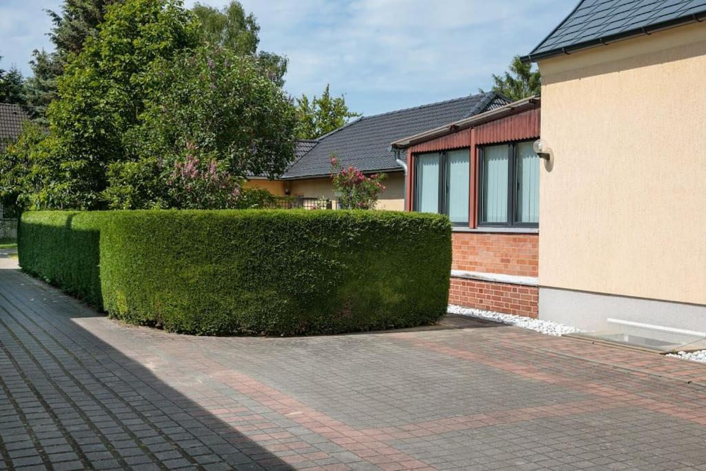 Charmantes Townhaus Mit Garten, W-Lan & Netflix Potsdam Kültér fotó